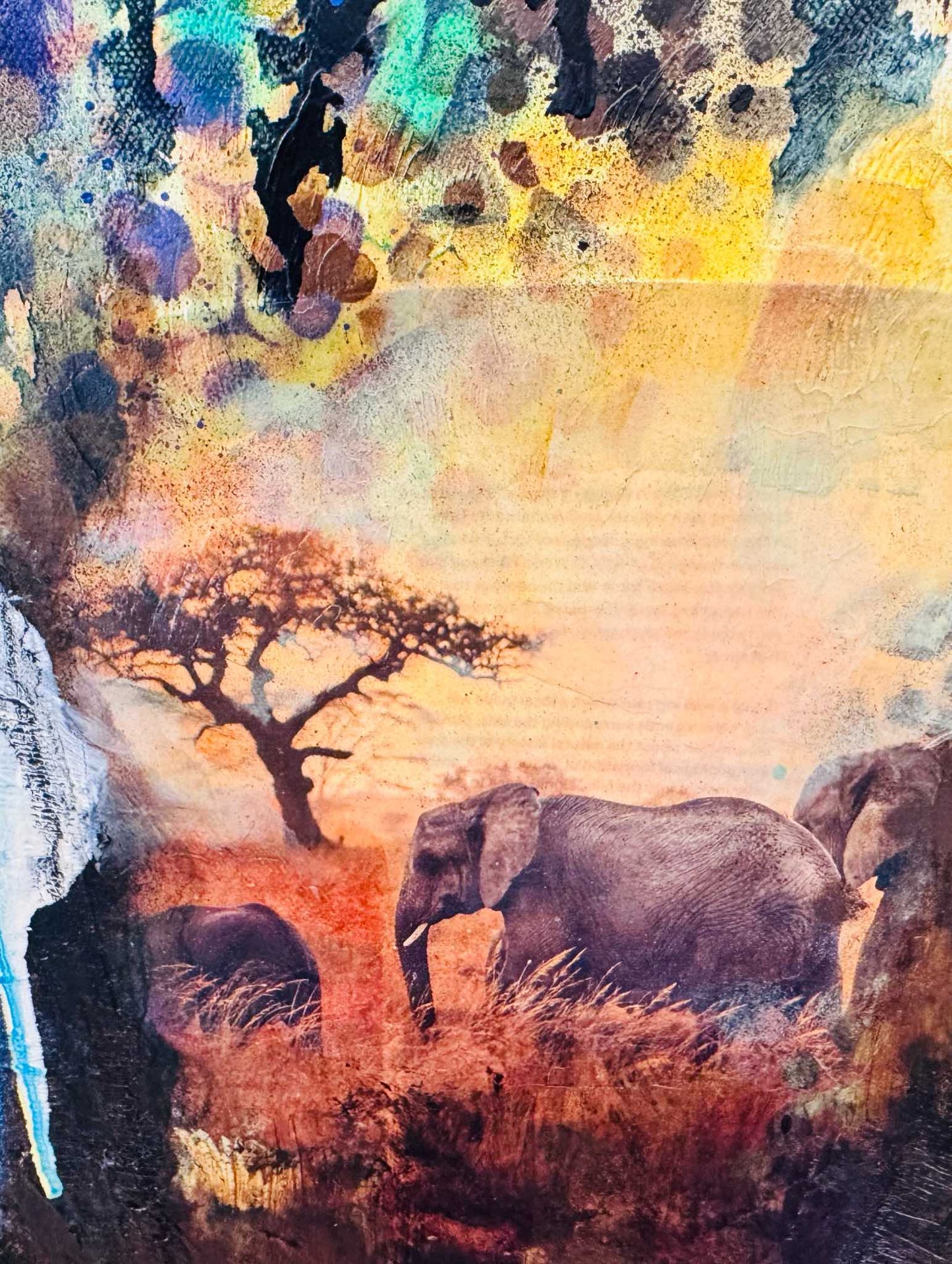 THE HEART OF THE WILD
